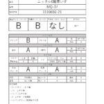 1110650-21
